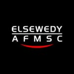 elsewady logo